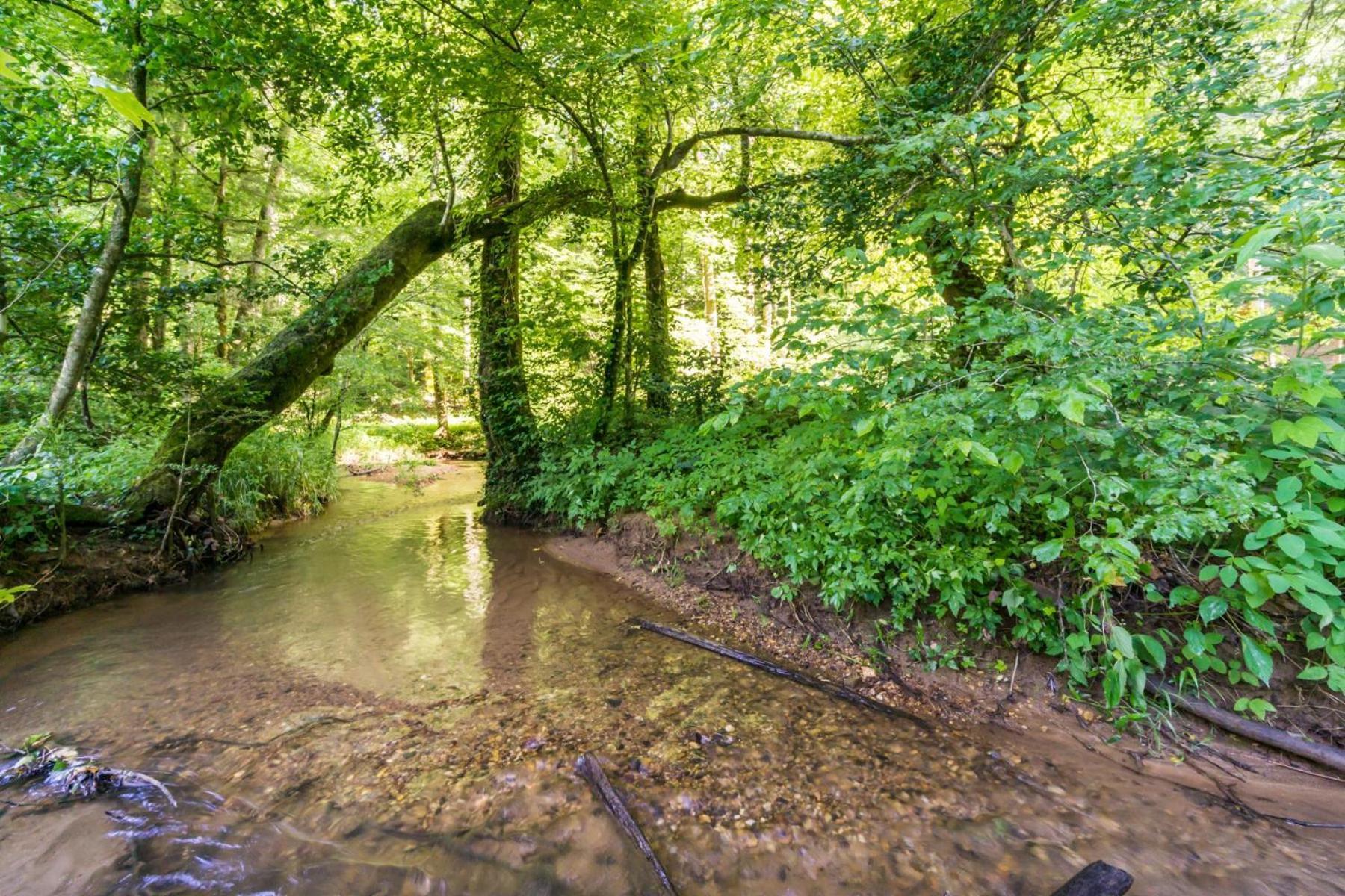 New Listing! Wine Country Retreat - 2 Bed, Hot Tub Villa Dahlonega Exterior photo